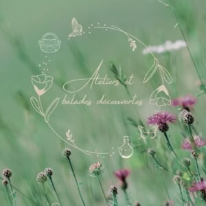Ateliers et balades découverte